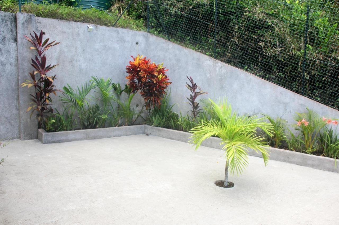 Exotic Guest House อังส์ วอลแบร์ วิลเลจ ภายนอก รูปภาพ
